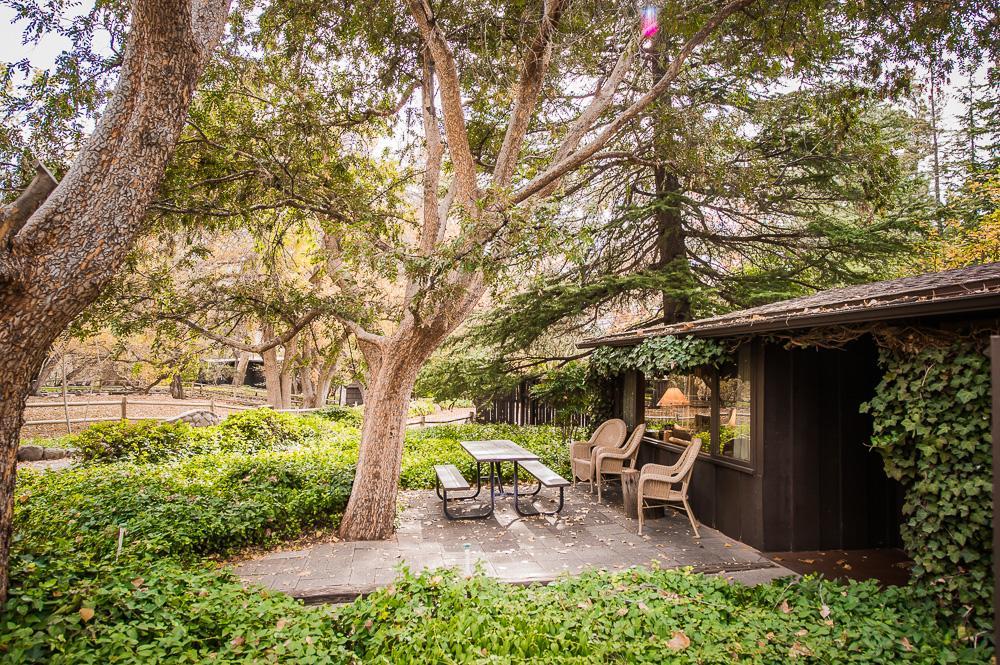 Briar Patch Inn Sedona Bagian luar foto